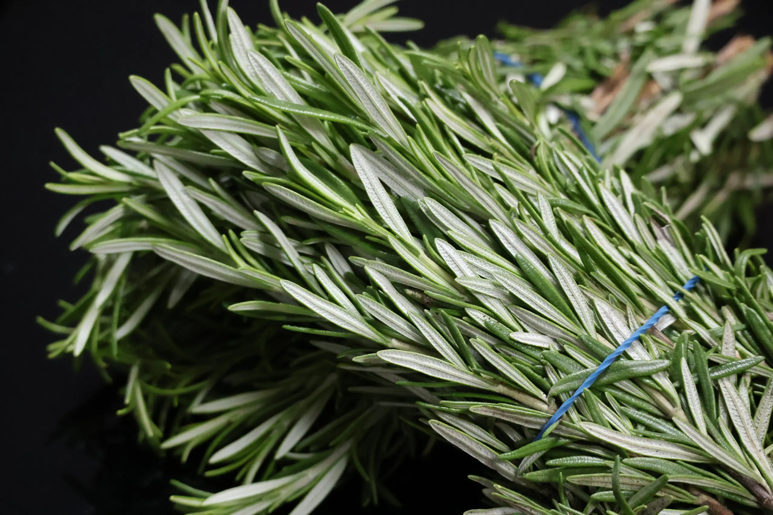 livingston seeds herbs